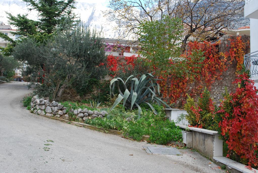 Apartments Paunovic Makarska Zewnętrze zdjęcie